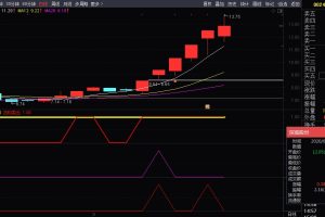首发全民选股预警 通达信副图/选股公式 私密金钻指标 连续上榜模型实力验证
