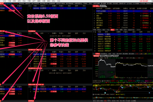 通达信竞价擒龙系统V8.59旗舰版无加密 带情绪监控 追涨 打板 低吸 半路的竞价抓妖神器