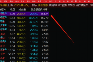溢价率指标套装 通达信副图排序/选股公式 财富密码源码