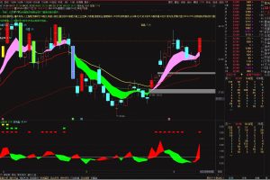 量比指标 通达信副图公式 集合个人操盘习惯 无未来