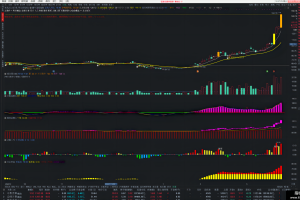 擒牛追踪公式 通达信主图/副图 懂牛特色指标