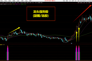 龙头强势股指标 通达信副图/选股公式 短线成功率极高 买在龙头启爆初期 强者恒强