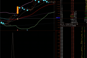连阳黄金柱指标 通达信副图/选股公式 化繁为简 趋势为王 揭秘主力启动密码