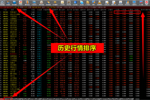 小兔子竞价V4.0 通达信排序升级系统 电脑首版软件