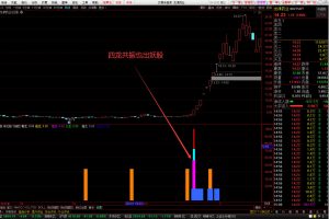 神龙腾飞指标 通达信副图/选股公式 多龙共振抓牛股