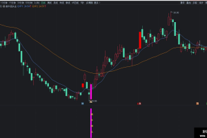 疯牛回头指标 通达信主图/副图/选股公式 专做强势股回马 龙回头类型 低吸不追高安全又可靠