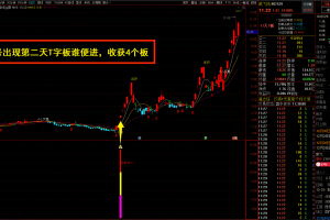 突击涨停指标 通达信主图/副图/选股公式 专业的龙头打板战法 抓住了多瑞医药 诺邦股份 会稽山等牛股