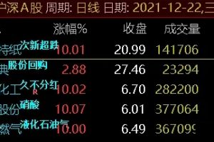 竞价抓首版指标 通达信副图/选股公式 全新排序