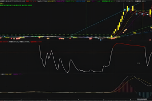 东财情绪热度指标 通达信副图公式 得散户者得天下 盘前知晓股民情绪 挖掘出妖股和牛股