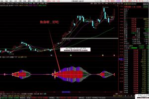 小鱼庄入信号指标 通达信副图/选股公式 只吃吃鱼身 更多奥秘需要你来发现