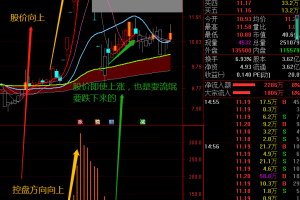 黑马出现指标 通达信副图/选股公式 看清趋势 逃顶 提前买入爆涨股
