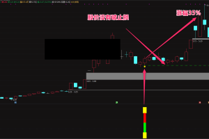 金龙转身指标 通达信主图副图选股公式 收益稳定 捕捉龙头股的强势调整后反弹的战法