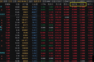 板块和个股强度指标 通达信副图排序公式 发现热门票的利器