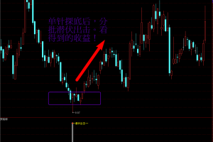 探底棒指标 通达信副图/选股公式 赚钱法宝