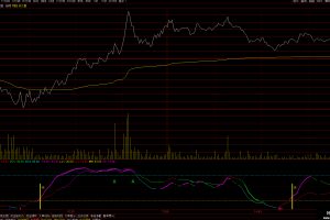 最新内部机构T0指标 通达信分时副图公式 可用户股票可转债