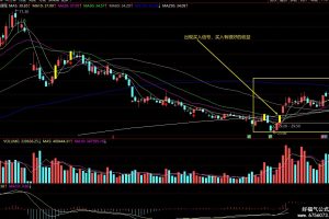 神龙摆尾最牛的指标 通达信副图/选股公式