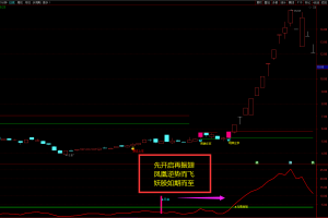 凤凰振翅指标 通达信副图/选股公式 极品妖股把控辅助