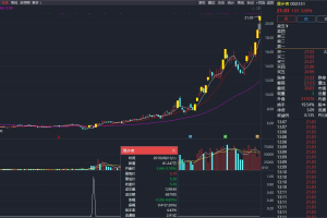 涨停N字反转指标 通达信副图/选股公式 平台突破涨停后的回调