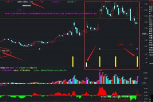 个股板块排名指标 通达信副图公式 均是排前三的第几名