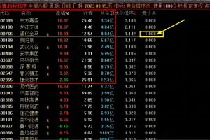 竞价排序杀指标 通达信副图公式 可用于竞价排序或盘后排序