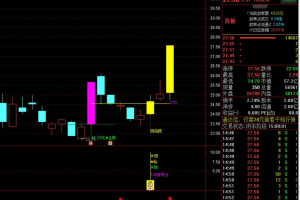 回仙鼠指标 通达信主图/副图/选股公式 小鼠挖坑 尾盘专用打分精选一只