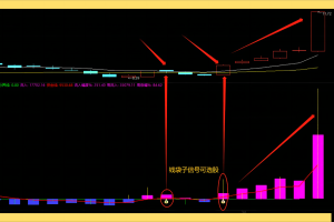 资金力度指标 通达信副图/选股/排序公式 无未来函数