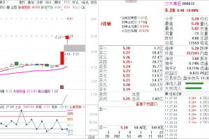 竞价强势共振指标 通达信副图公式 简单高效 竞价一进二打板 排序选股