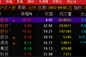 打板砖家擒龙指标 通达信副图/选股/竞价排序公式 助力竞价擒龙捉妖 一进二高效擒龙捉妖