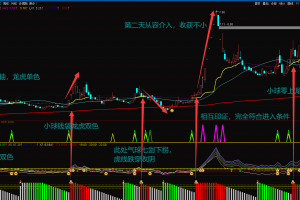 风控平台指标 通达信副图公式 火热出炉 将风险降至最低