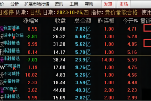 竞价量能合格+安全指标 通达信竞价排序公式 量能合格+竞价安全+支持回测
