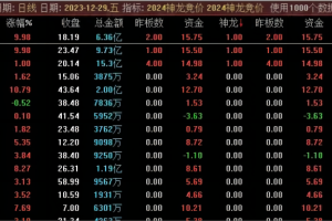 神龙竞价指标 通达信副图排序公式 全天不变