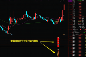 御龙智尊擒底指标 通达信主图/副图/选股套装公式 潜伏底部擒大牛股