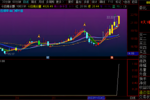 枭雄竞价首板指标 通达信副图排序/选股/预警公式 出票少 信号全天不变