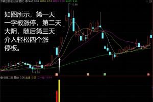 极品二阳指标 通达信副图/选股公式 涨停次日大阴 第三日过大阴出现大阳