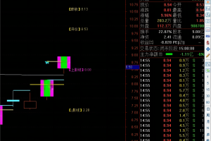 竞价涨停晋级指标 通达信副图/选股公式 全变不变