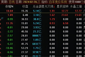 白羊竞价系统指标 通达信副图排序/选股公式 历史数据可回看