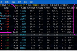 至尊竞价一进二指标 通达信副图排序公式 数据全天不变 持仓不足3天 全部走牛