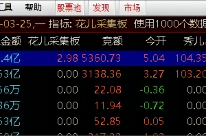 花儿采集板指标 通达信副图排序公式 竞价抓板
